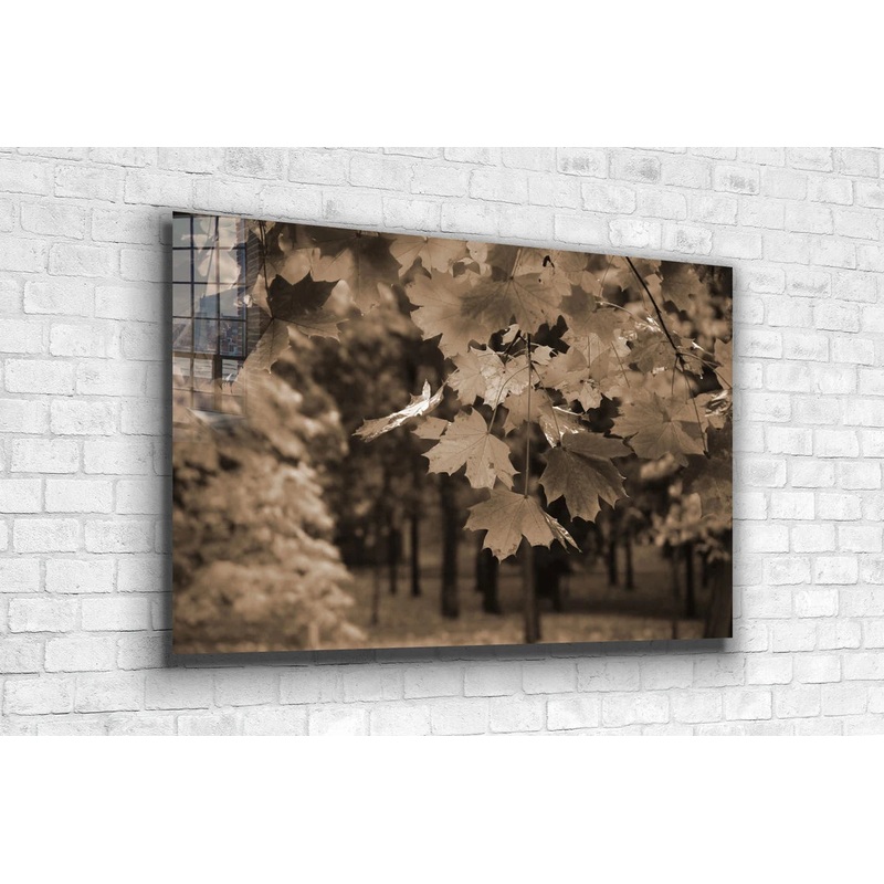 Autumn Tree Faded View Print Tempered Glass Wall Art 100% Made in Australia Ready to Hang