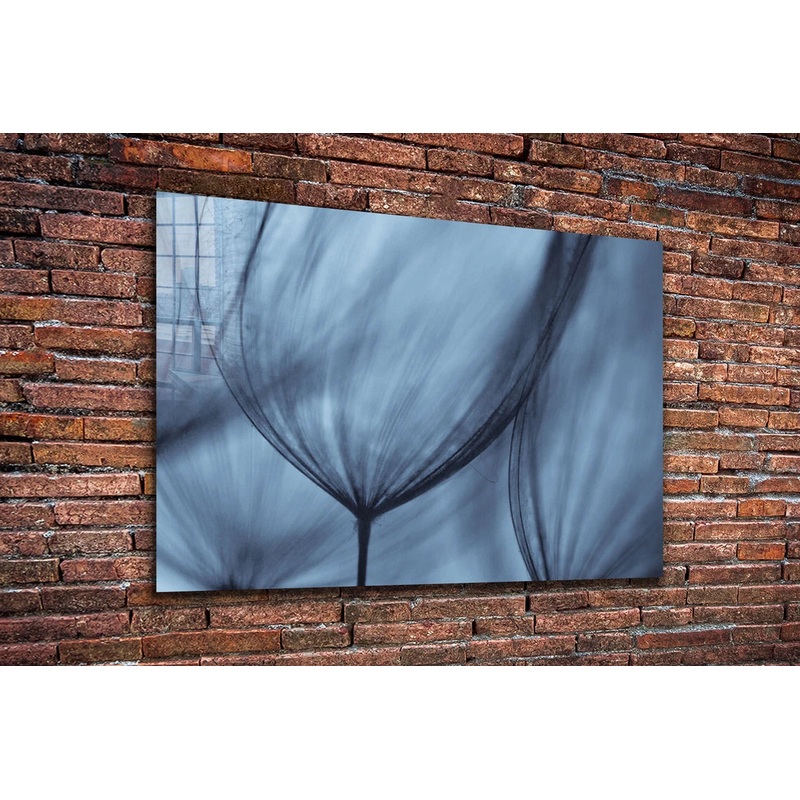 Blue Dandelion View Print Tempered Glass Wall Art 100% Made in Australia Ready to Hang
