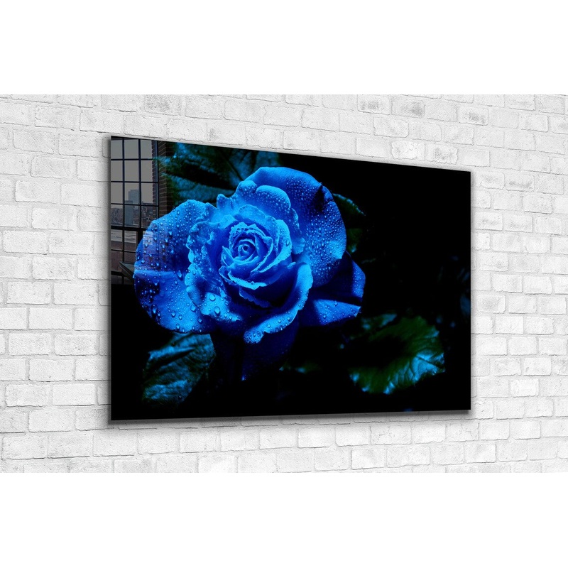Blue Rose Waterdrops Print Tempered Glass Wall Art 100% Made in Australia Ready to Hang