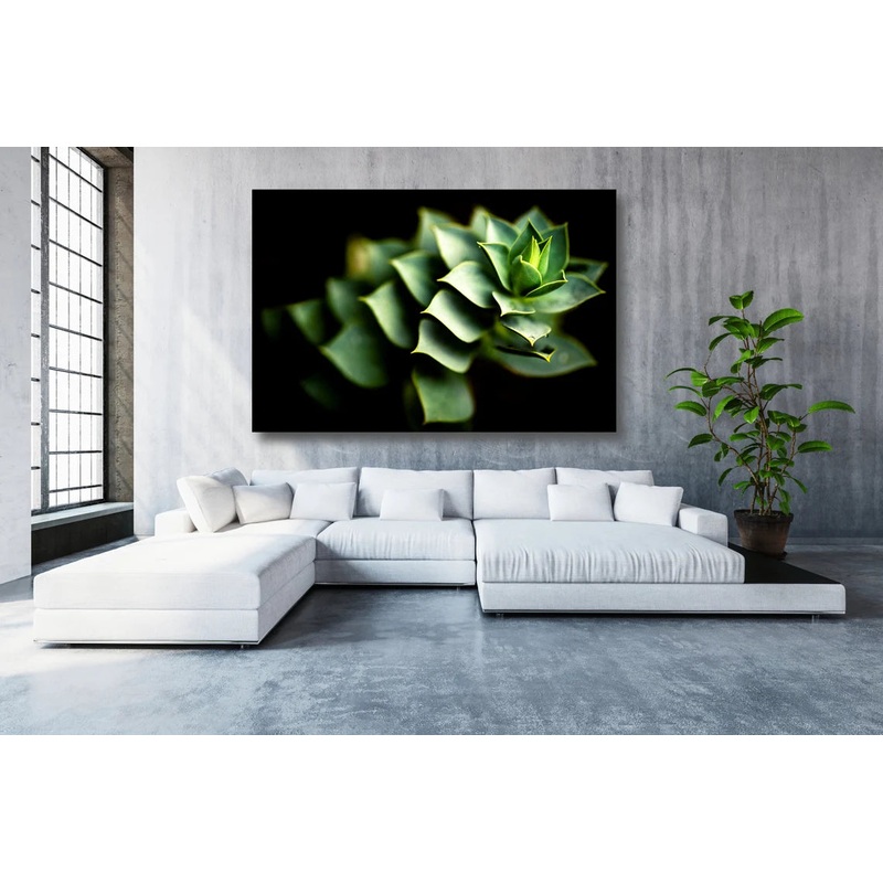 Cactus Leaves Acrylic Glass Print Tempered Glass Wall Art 100% Made in Australia Ready to Hang