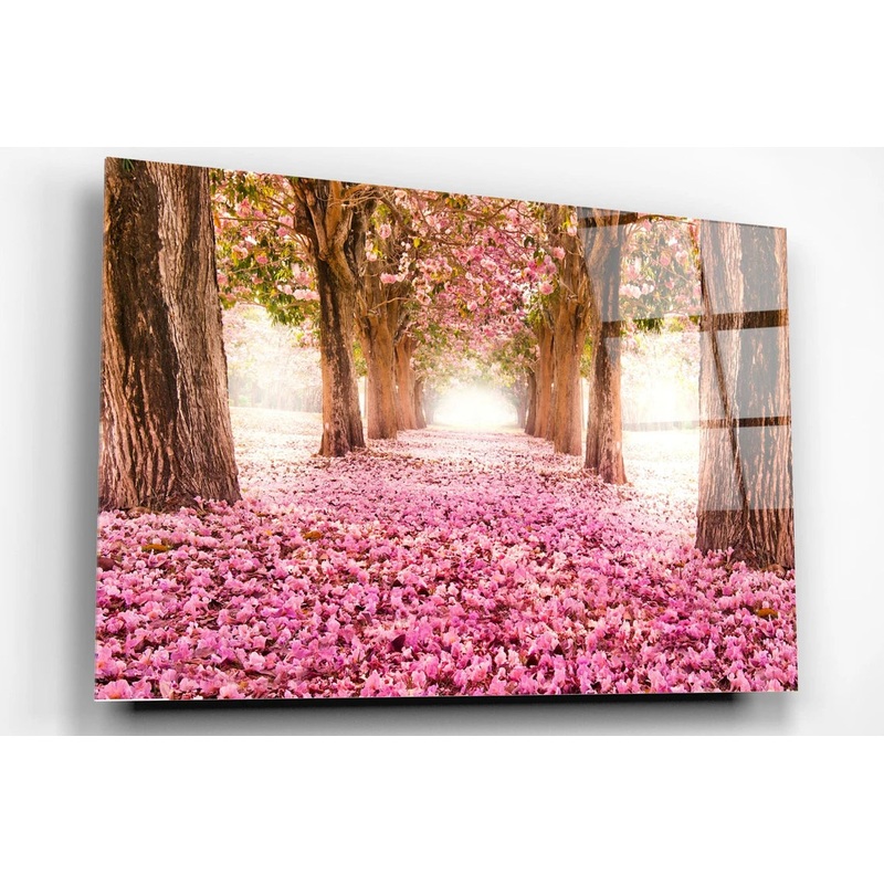 Cherry Blossom Forest Acrylic Glass Print Tempered Glass Wall Art 100% Made in Australia Ready to Hang