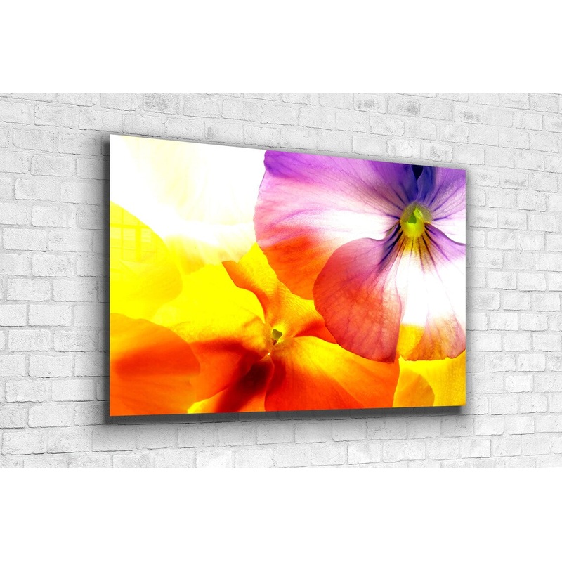 Colorful Flower Closeup Print Tempered Glass Wall Art 100% Made in Australia Ready to Hang