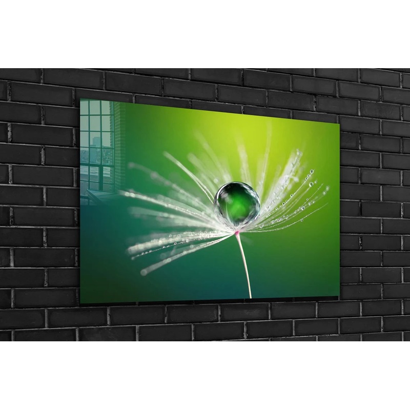 Dandelion Droplet View Print Tempered Glass Wall Art 100% Made in Australia Ready to Hang