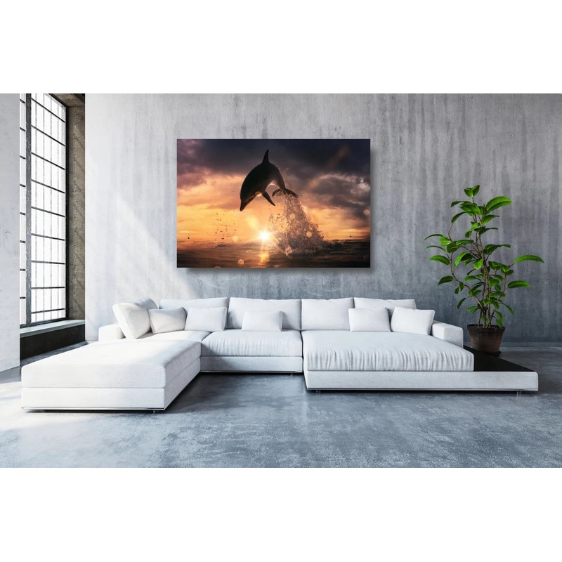 Dolphin With Sunlight Acrylic Glass Print Tempered Glass Wall Art 100% Made in Australia Ready to Hang