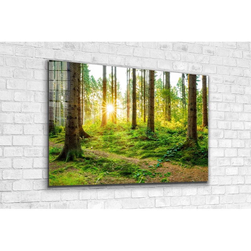 Forest Landscape View Print Tempered Glass Wall Art 100% Made in Australia Ready to Hang