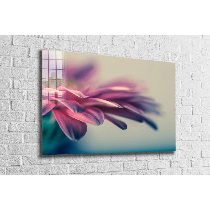 Pink Petals Closeup Print Tempered Glass Wall Art 100% Made in Australia Ready to Hang