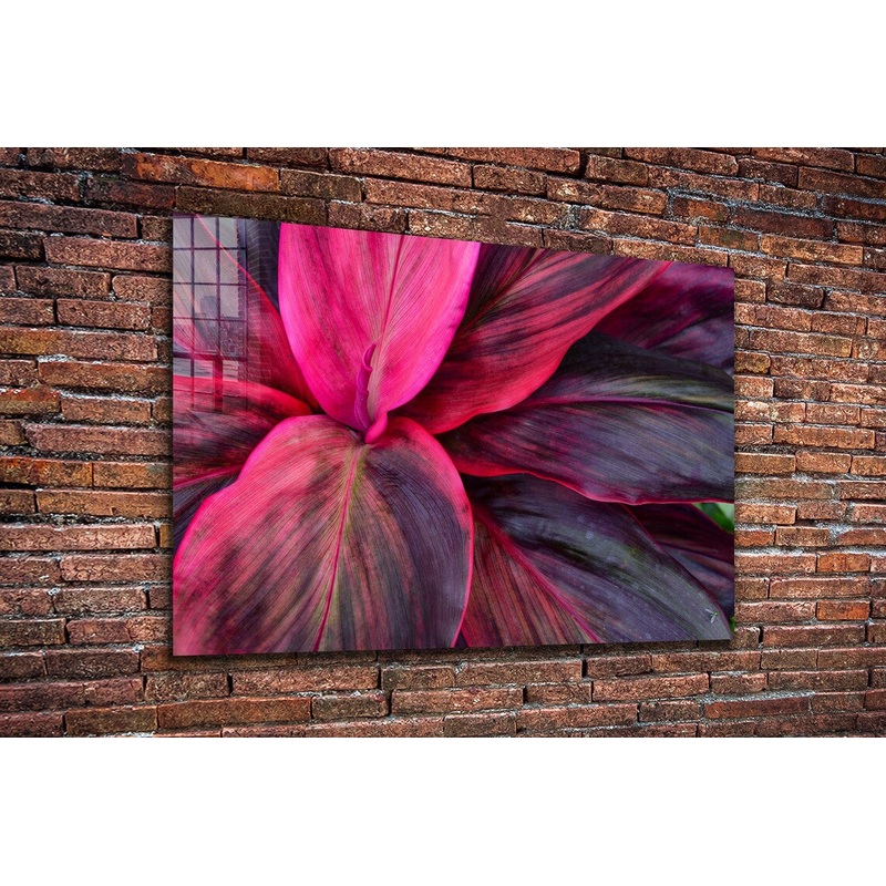 Purple Pink Leaves View Print Tempered Glass Wall Art 100% Made in Australia Ready to Hang