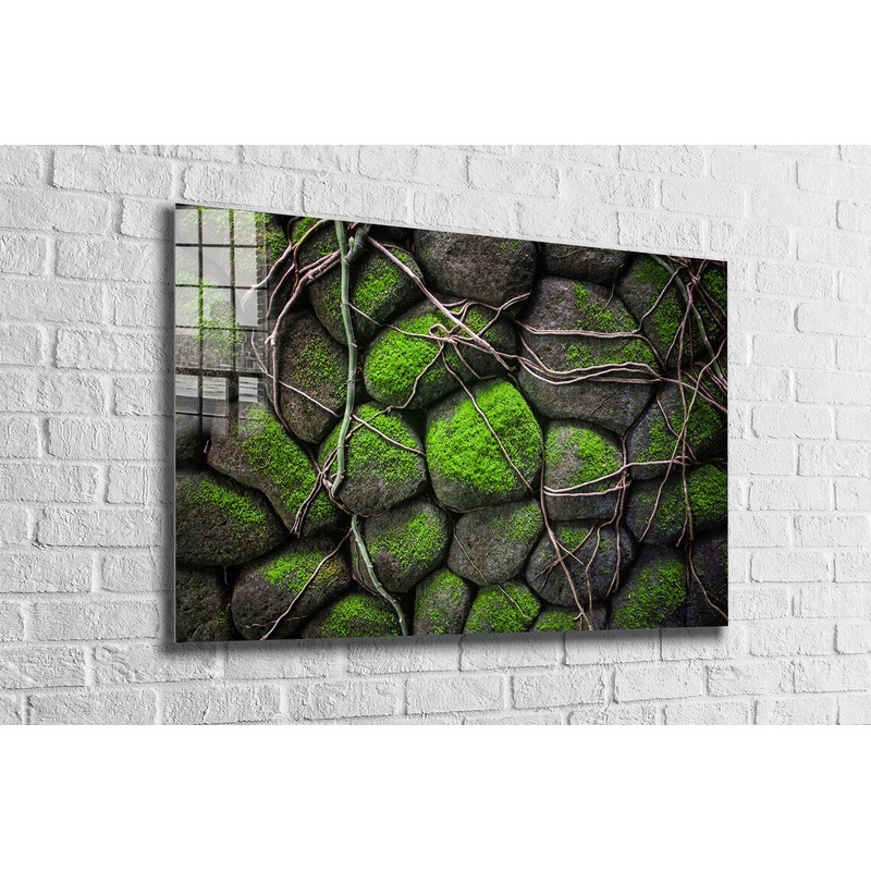 Rocks in the Moss Print Tempered Glass Wall Art 100% Made in Australia Ready to Hang