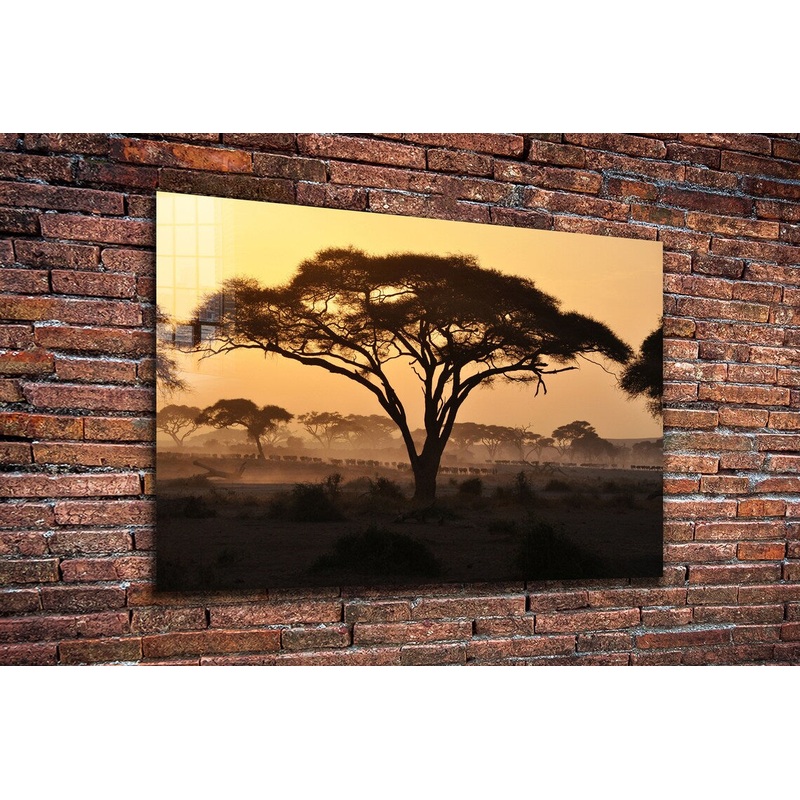 Savannah Forest Sunset Print Tempered Glass Wall Art 100% Made in Australia Ready to Hang