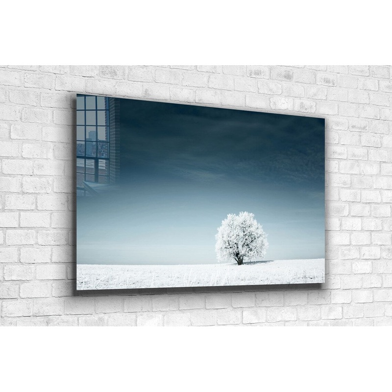 Snow Covered Alone Tree Print Tempered Glass Wall Art 100% Made in Australia Ready to Hang