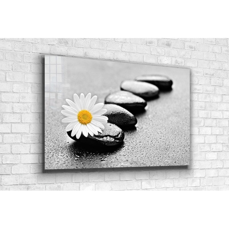 White Daisy & Stone Print Tempered Glass Wall Art 100% Made in Australia Ready to Hang
