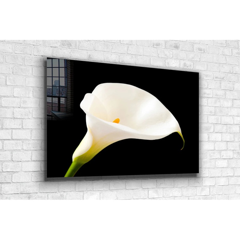 White Lily on Dark View Print Tempered Glass Wall Art 100% Made in Australia Ready to Hang