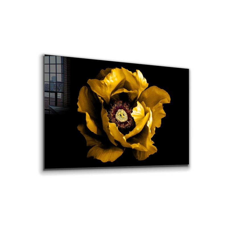 Yellow Flower Closeup Print Tempered Glass Wall Art 100% Made in Australia Ready to Hang