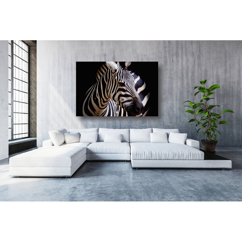 African Zebra Acrylic Glass Print Tempered Glass Wall Art 100% Made in Australia Ready to Hang