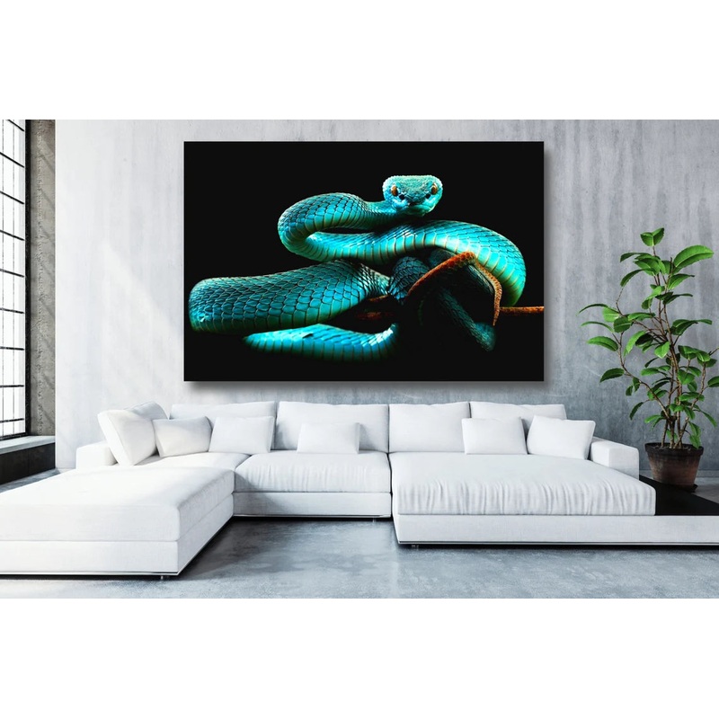 Blue Snake Acrylic Glass Print Tempered Glass Wall Art 100% Made in Australia Ready to Hang