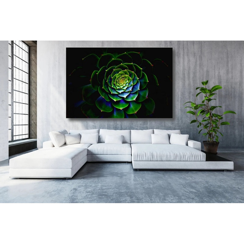 Cactus Flower Acrylic Glass Print Tempered Glass Wall Art 100% Made in Australia Ready to Hang