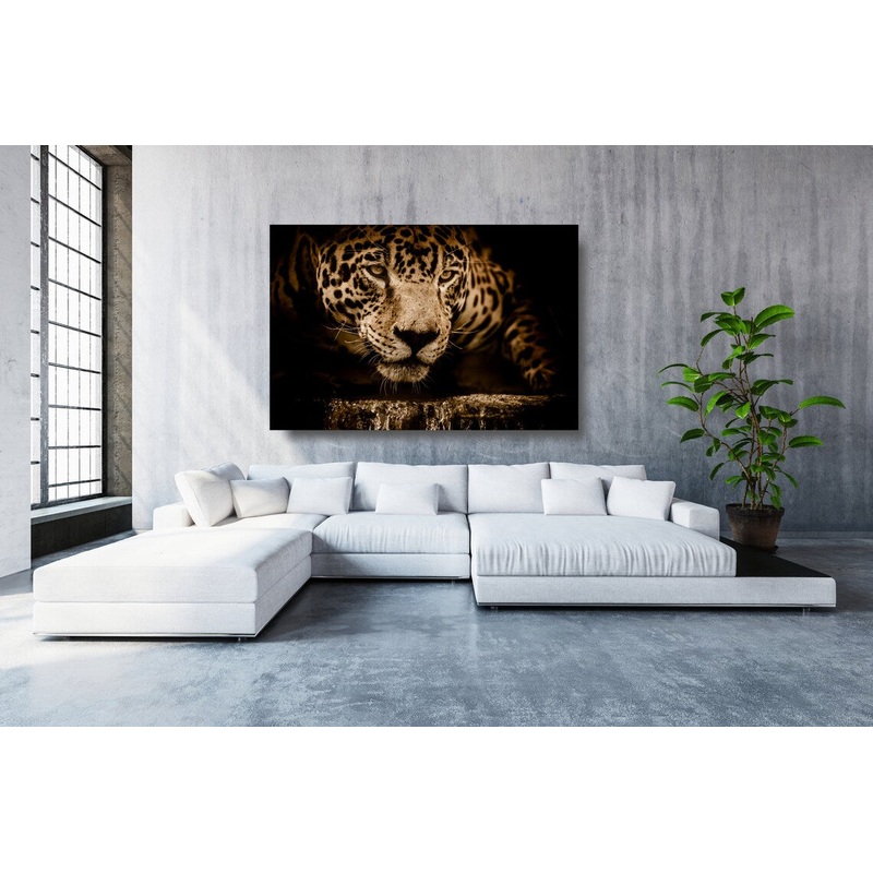 Cheetah Closeup Acrylic Glass Print Tempered Glass Wall Art 100% Made in Australia Ready to Hang