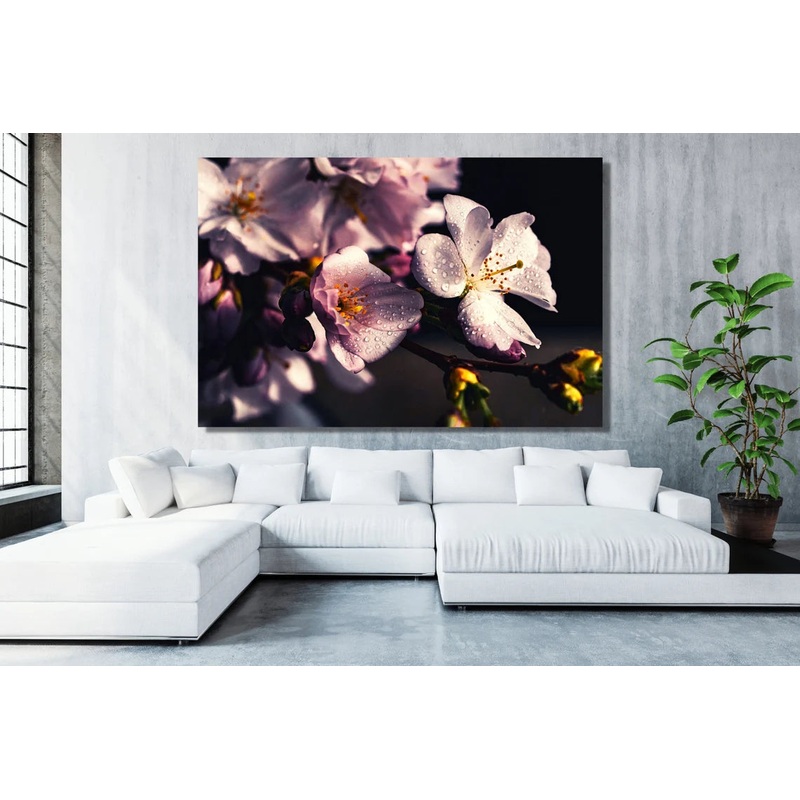 Cherry Blossom Flower Acrylic Glass Print Tempered Glass Wall Art 100% Made in Australia Ready to Hang