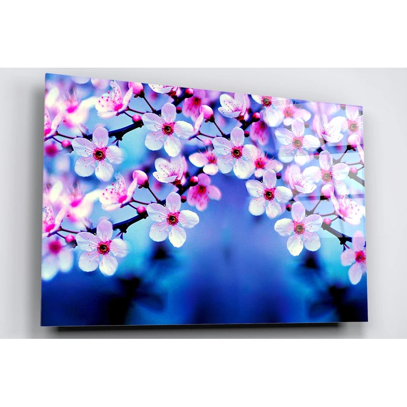 Cherry Blossom Japanese Flower Acrylic Glass Print Tempered Glass Wall Art 100% Made in Australia Ready to Hang