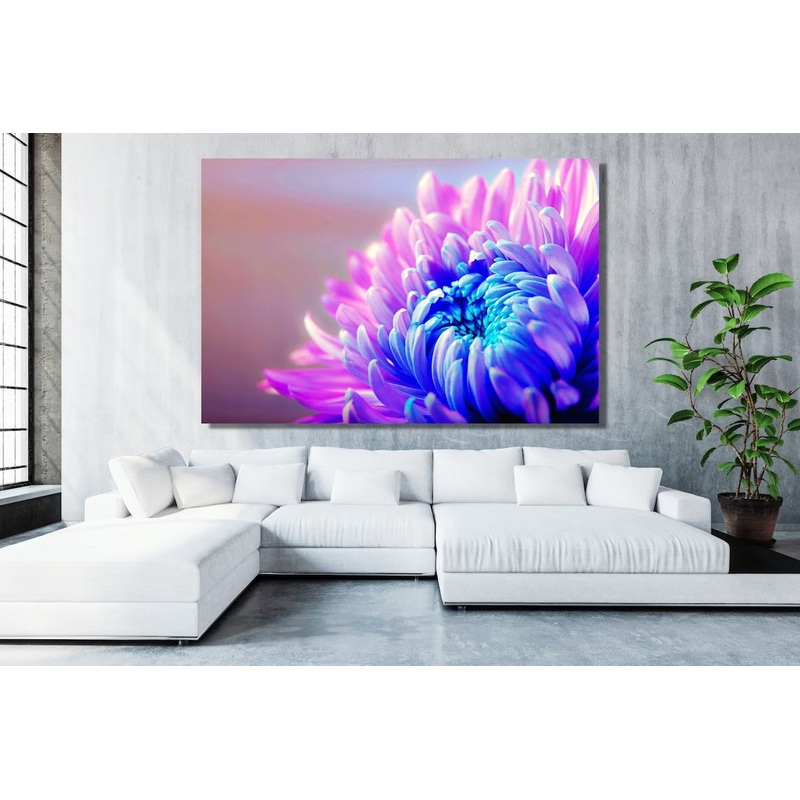 Chrysanthemum Flower Acrylic Glass Print Tempered Glass Wall Art 100% Made in Australia Ready to Hang