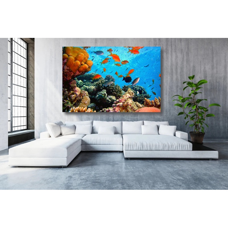 Coral Reef Acrylic Glass Print Tempered Glass Wall Art 100% Made in Australia Ready to Hang