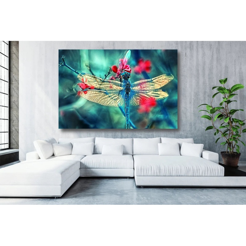 Dragonfly Closeup Acrylic Glass Print Tempered Glass Wall Art 100% Made in Australia Ready to Hang