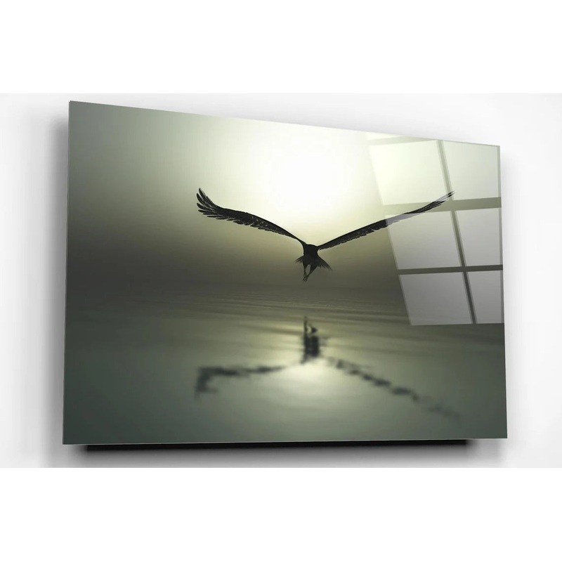 Eagle In Flight Acrylic Glass Print Tempered Glass Wall Art 100% Made in Australia Ready to Hang