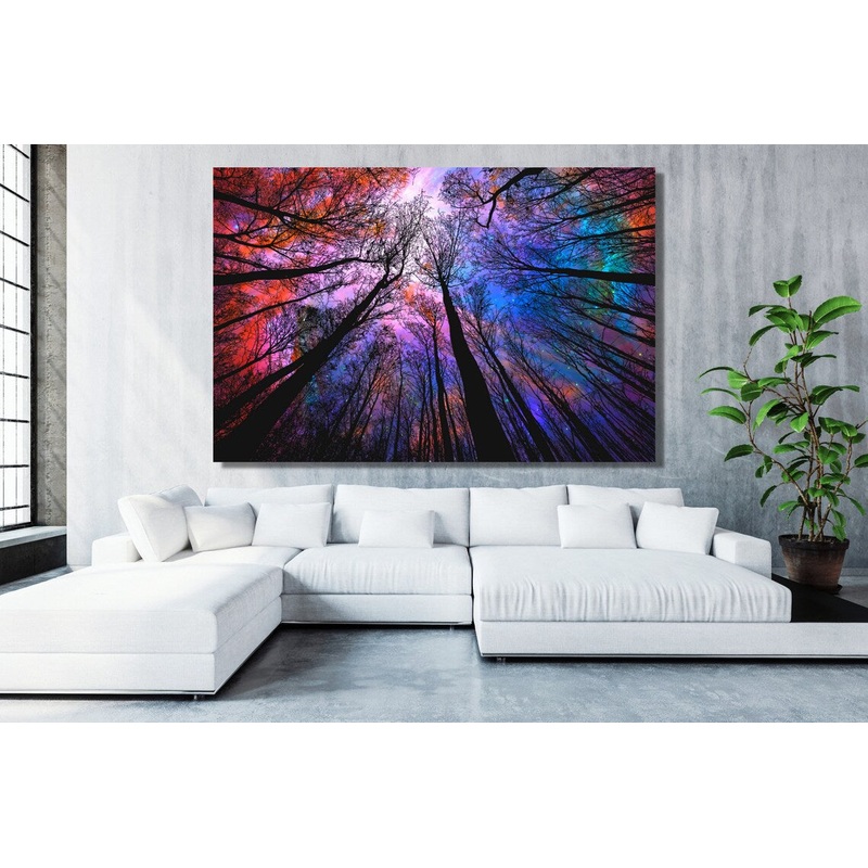 Tree Canopy Acrylic Glass Print Tempered Glass Wall Art 100% Made in Australia Ready to Hang