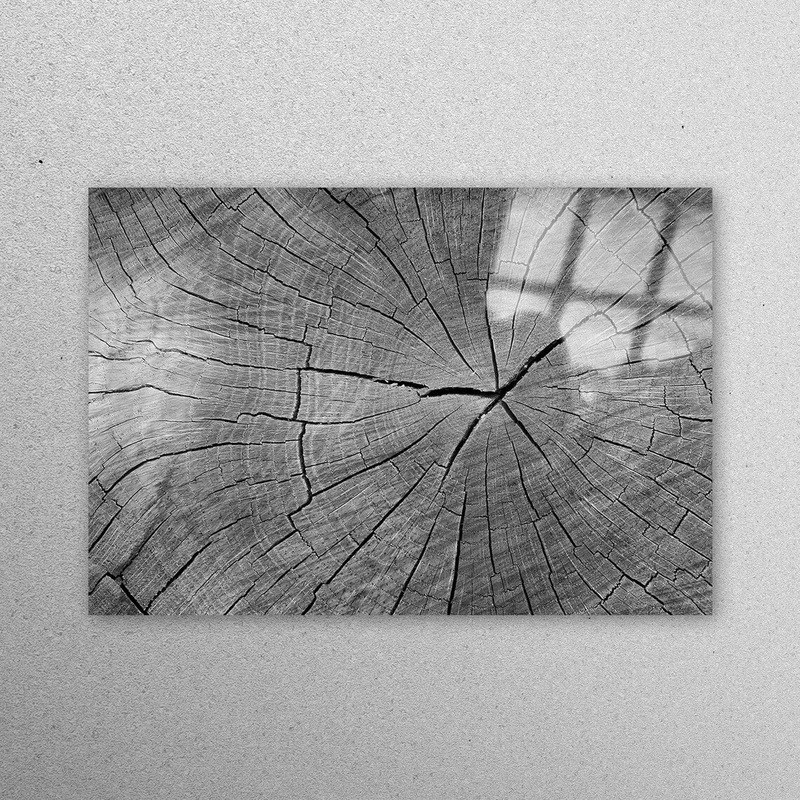 Tree Ring Wood Acrylic Glass Print Tempered Glass Wall Art 100% Made in Australia Ready to Hang