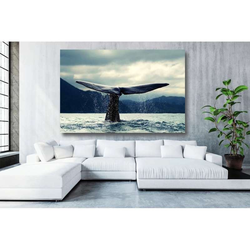 Whale Tailfin Acrylic Glass Print Tempered Glass Wall Art 100% Made in Australia Ready to Hang