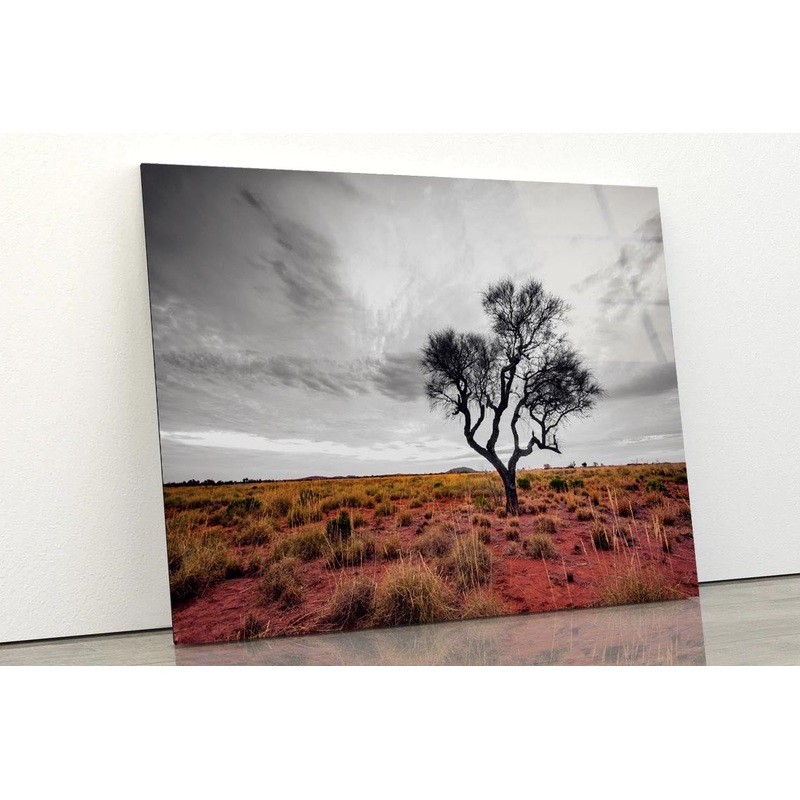 Australian Outback Acrylic Glass Print Tempered Glass Wall Art 100% Made in Australia Ready to Hang