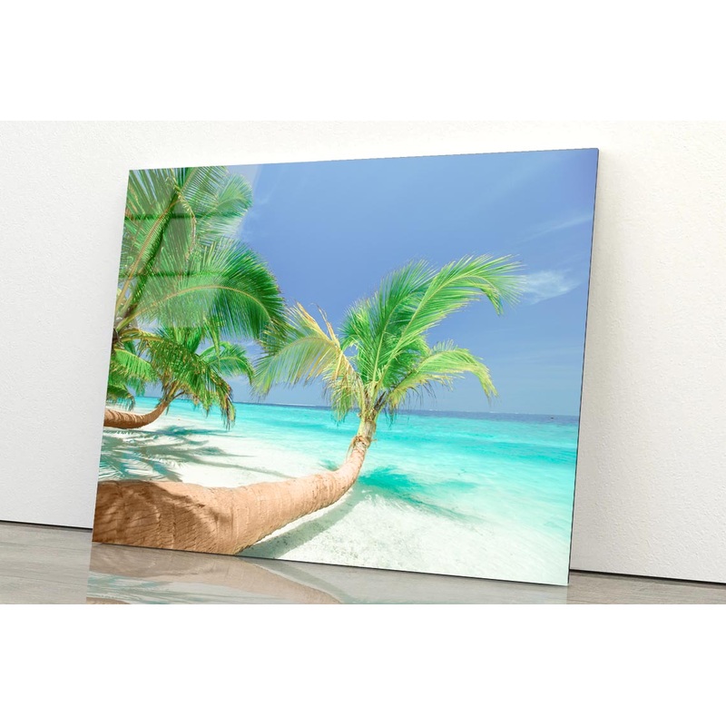 Coconut Trees Leaning to Sea Acrylic Glass Print Tempered Glass Wall Art 100% Made in Australia Ready to Hang