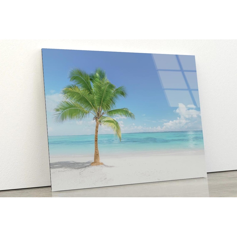 Single Coconut Tree Beach Acrylic Glass Print Tempered Glass Wall Art 100% Made in Australia Ready to Hang