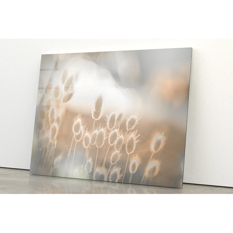 Sunny Meadow Faded Acrylic Glass Print Tempered Glass Wall Art 100% Made in Australia Ready to Hang