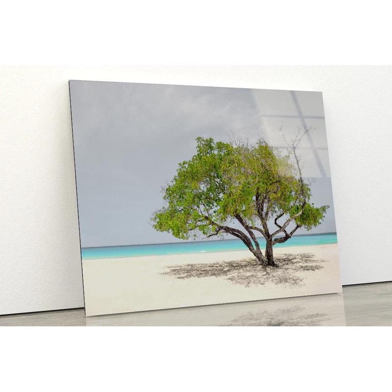 Tree In Beach Acrylic Glass Print Tempered Glass Wall Art 100% Made in Australia Ready to Hang