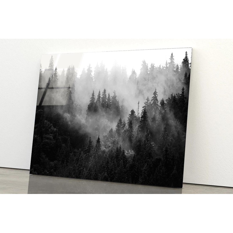 Trees In Mist Black and White Acrylic Glass Print Tempered Glass Wall Art 100% Made in Australia Ready to Hang