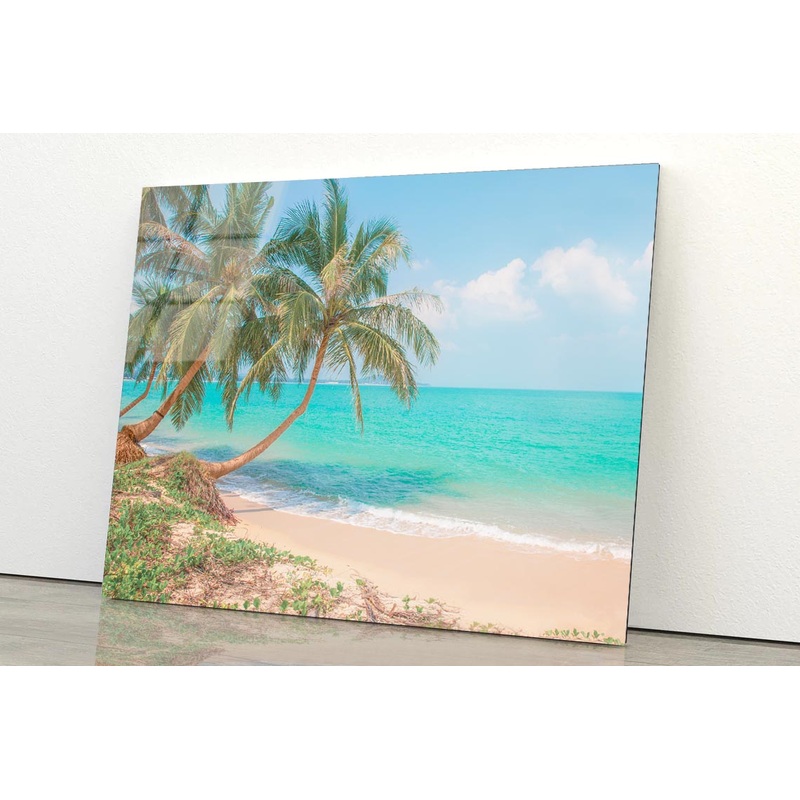Tropical Beach with Coconut Palm Tree Acrylic Glass Print Tempered Glass Wall Art 100% Made in Australia Ready to Hang