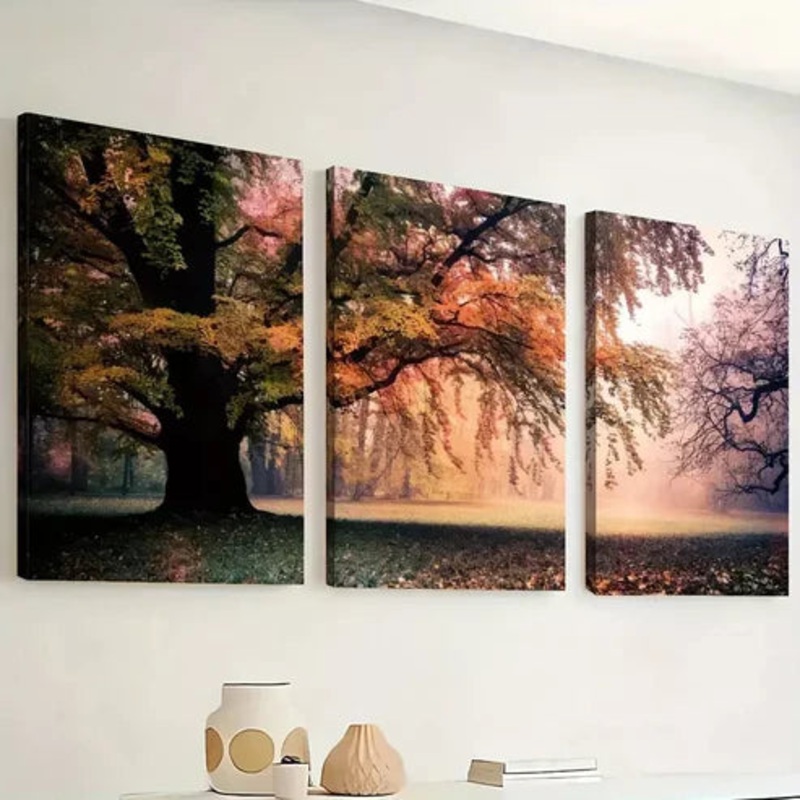 3pcs Forest Sunrise Morning Scenery Canvas Wall Art Set Canvas Framed 50x70cm - High Quality Print 100% Australian Made Wall Canvas Ready to Hang
