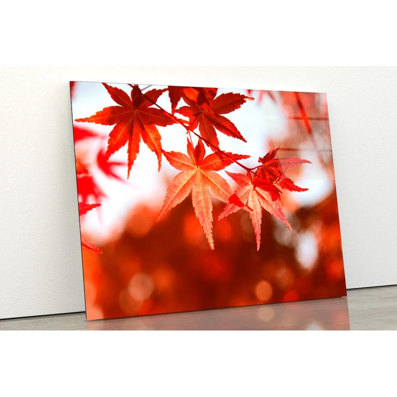 Autumn Leaves Closeup View Acrylic Glass Print Tempered Glass Wall Art 100% Made in Australia Ready to Hang