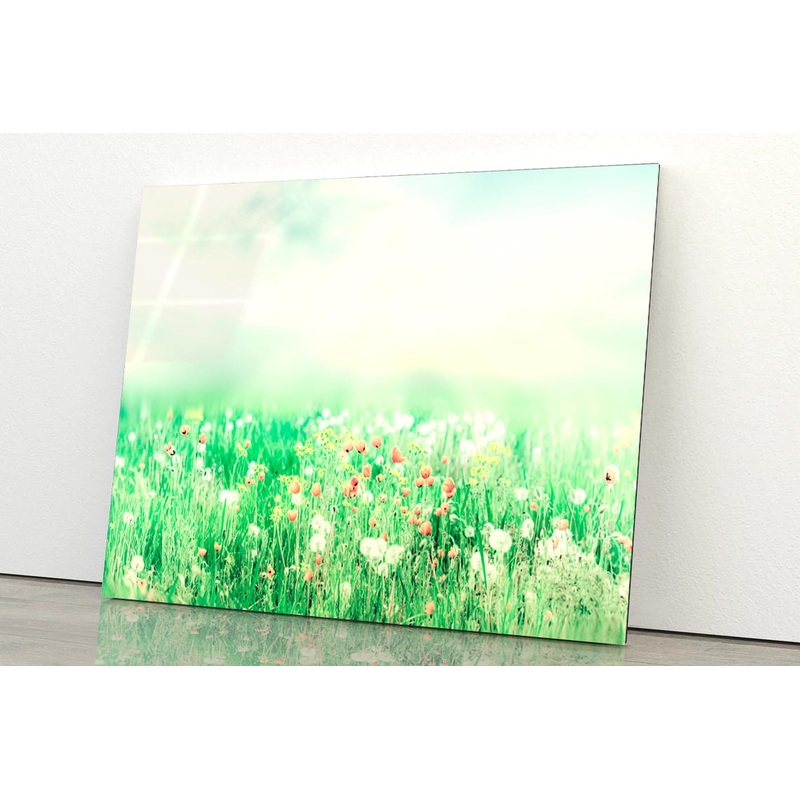 Beautiful Vintage Summer Landscape with Sun & Flowers  Acrylic Glass Print Tempered Glass Wall Art 100% Made in Australia Ready to Hang