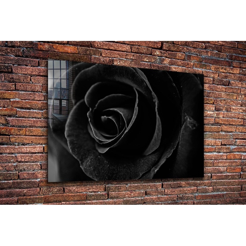 Black Rose Closeup View Print Tempered Glass Wall Art 100% Made in Australia Ready to Hang
