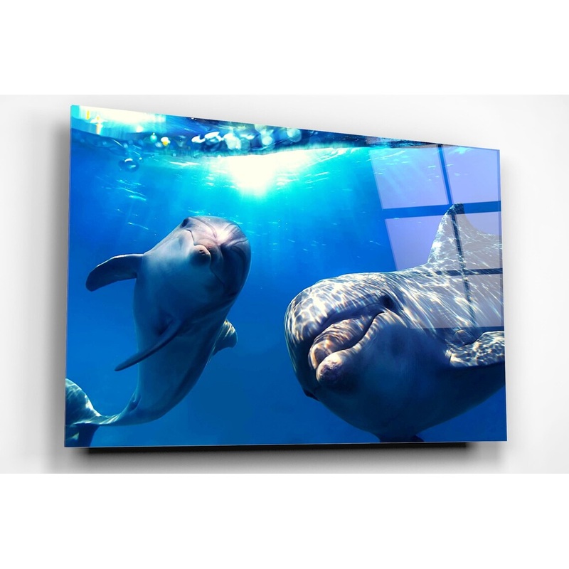 Dolphins In The Ocean Acrylic Glass Print Tempered Glass Wall Art 100% Made in Australia Ready to Hang