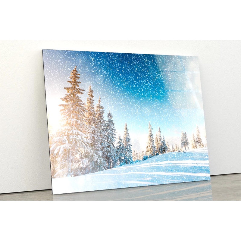 Dramatic Wintry Scene  Acrylic Glass Print Tempered Glass Wall Art 100% Made in Australia Ready to Hang
