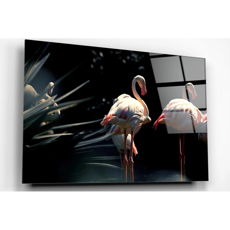 Flamingo Lake Acrylic Glass Print Tempered Glass Wall Art 100% Made in Australia Ready to Hang