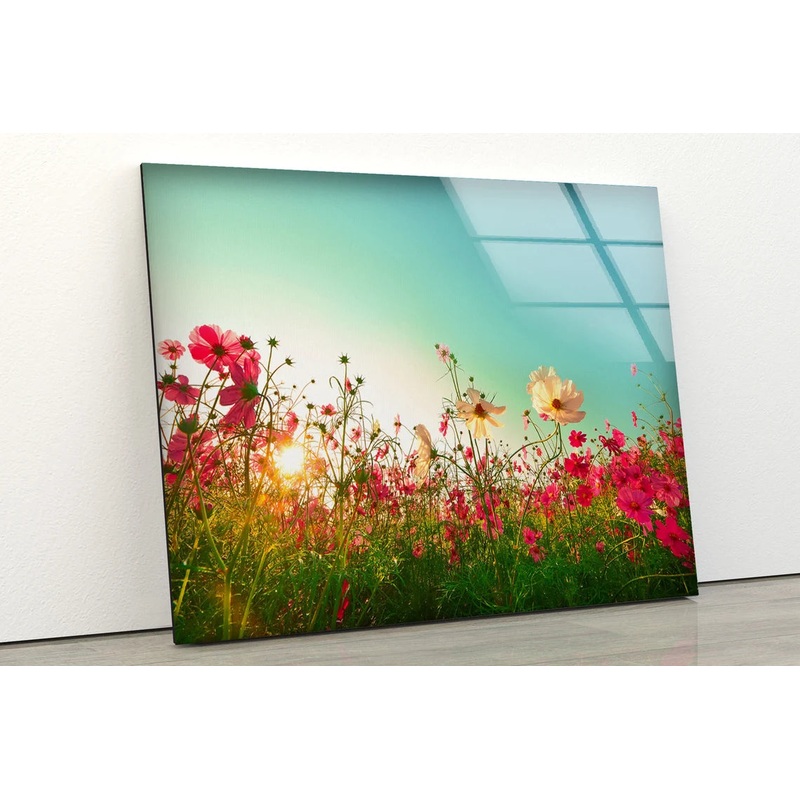 Flower Field Closeup Photograph Acrylic Glass Print Tempered Glass Wall Art 100% Made in Australia Ready to Hang