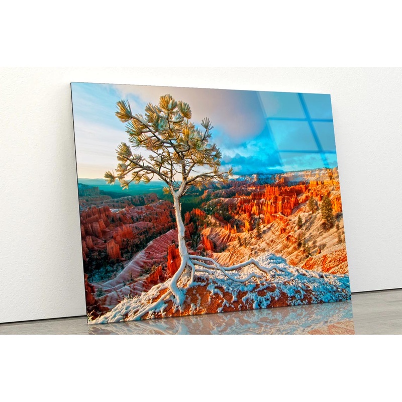 Snow Storm in Bryce Acrylic Glass Print Tempered Glass Wall Art 100% Made in Australia Ready to Hang