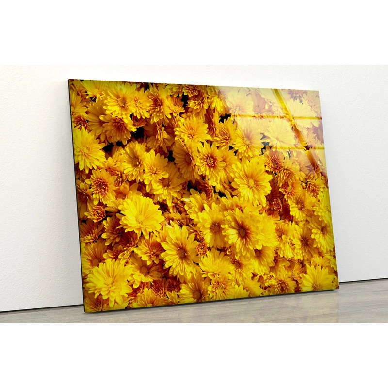 Yellow Flowers Closeup Photograph Acrylic Glass Print Tempered Glass Wall Art 100% Made in Australia Ready to Hang