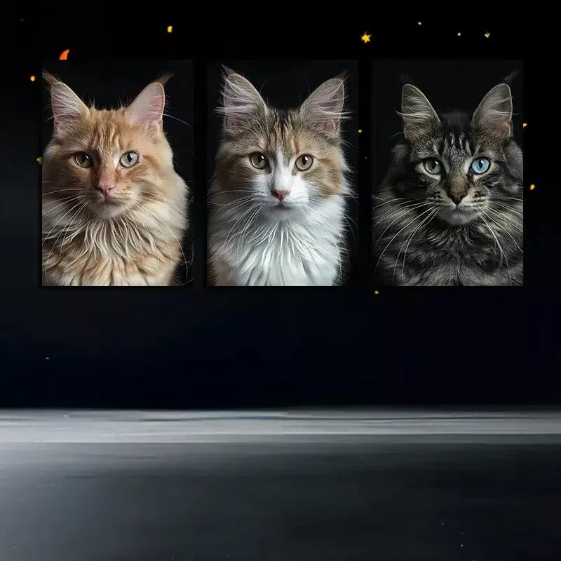 3pcs Kittens By A Black Background  Wall Art Set Canvas Framed 50x70cm -  High Quality Print 100% Australian Made Wall Canvas Ready to Hang