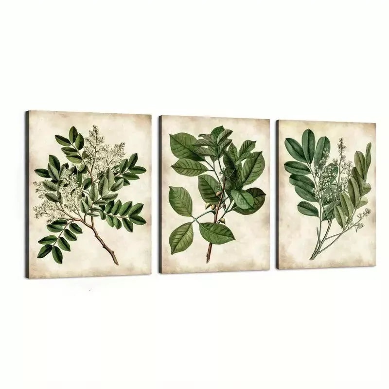 3pcs Abstract Green Leaves Botanical Vintage Wall Art Set Canvas Framed 50x70cm - High Quality Print 100% Australian Made Wall Canvas Ready to Hang