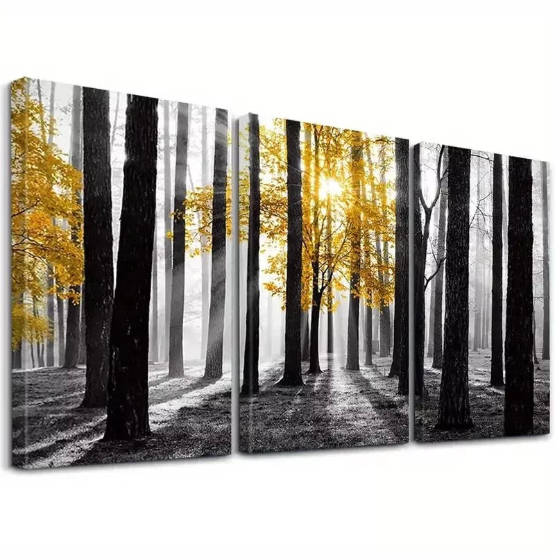 3pcs Forest Black & White Sunlight Shining Woods  Wall Art Set Canvas Framed 50x70cm -  High Quality Print 100% Australian Made Wall Canvas Ready to Hang